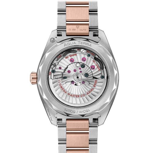 Reloj OMEGA Seamaster Aqua Terra 150M 220.20.41.21.02.001